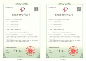 Certificates of Patent for Invention (1)