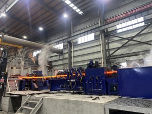 LINT TOP copper rod continuous casting and rolling line (1)